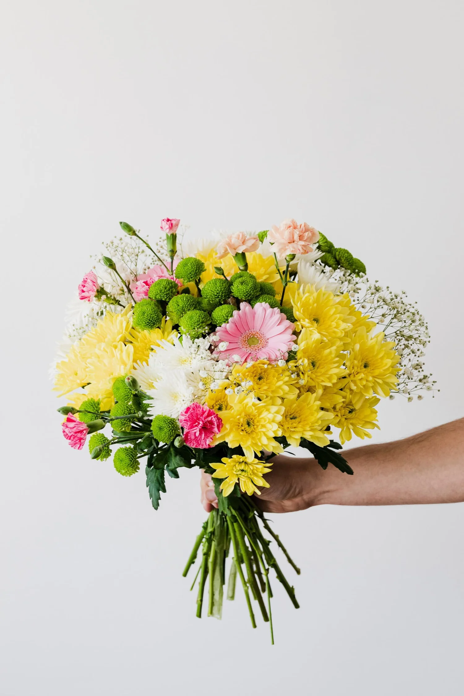 Diving into the Flower Color Wheel