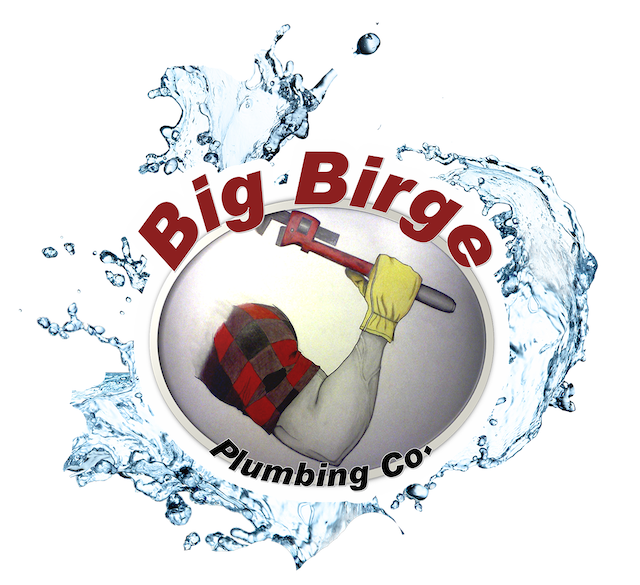 bigbirgeplumbing.com