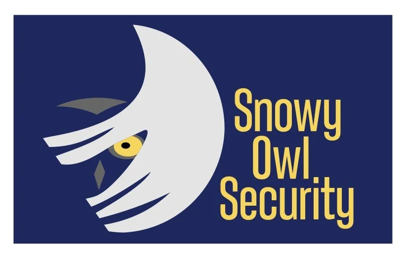snowyowlsecurity.com