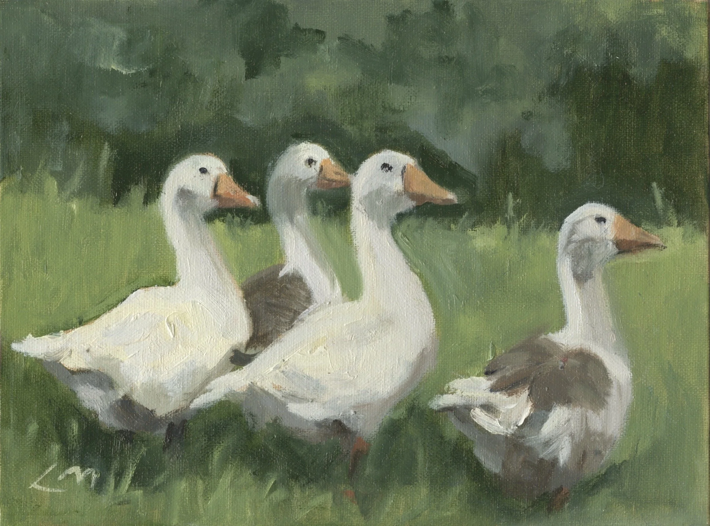 geese.jpeg