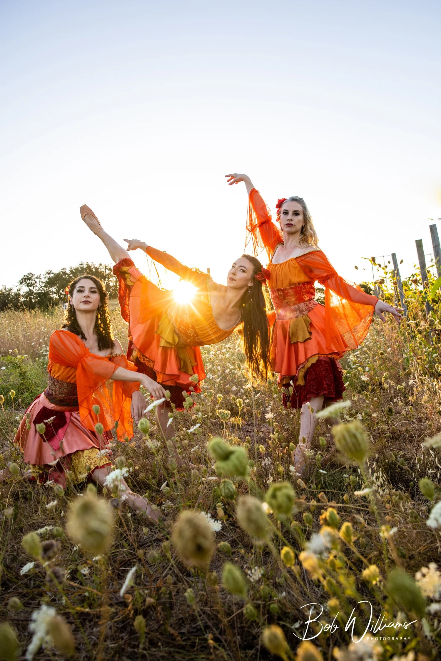 Behind The Scenes Ballet Fantastique ballet fantastique