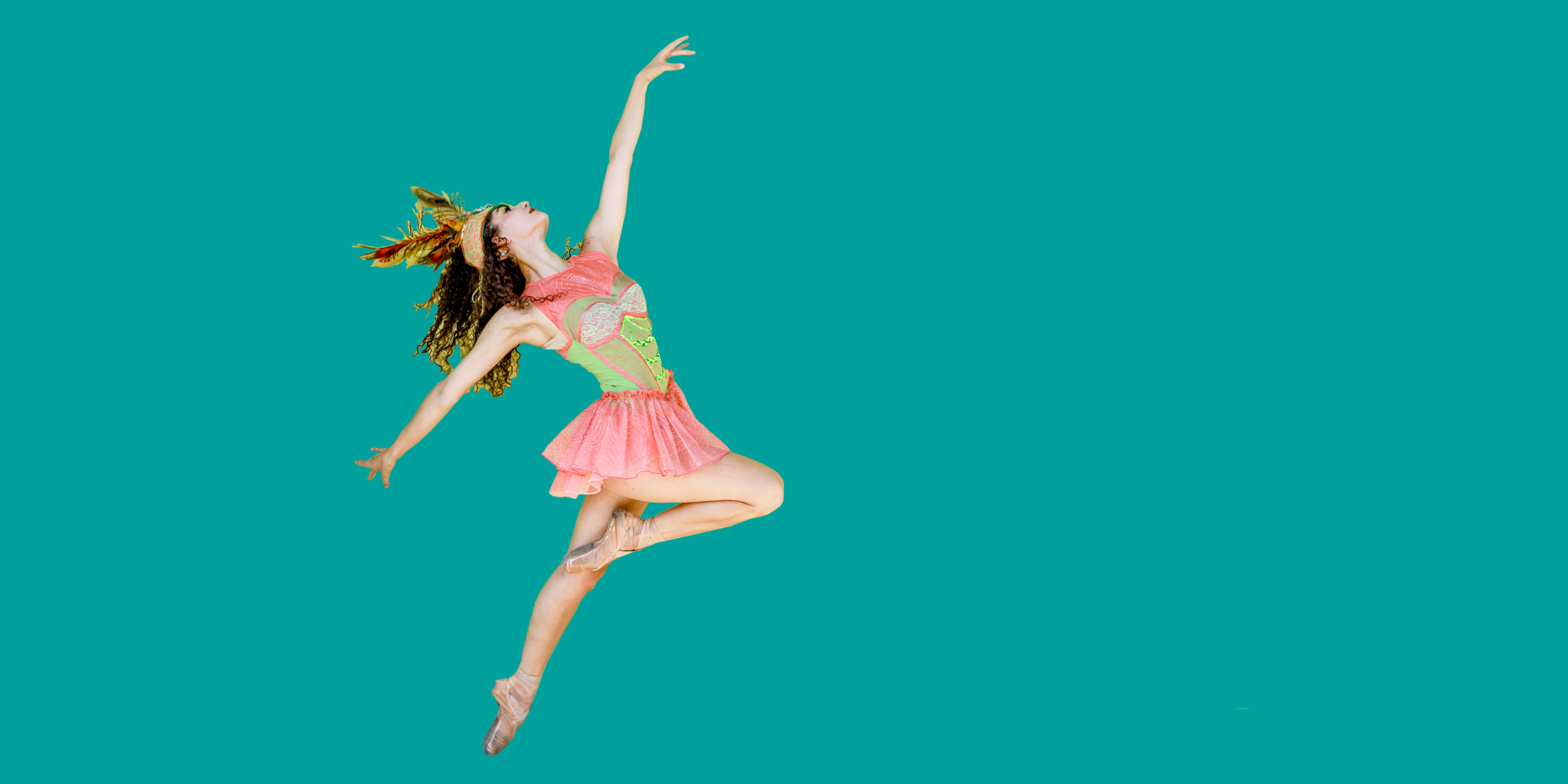 Ticket Tutorial Banner.png