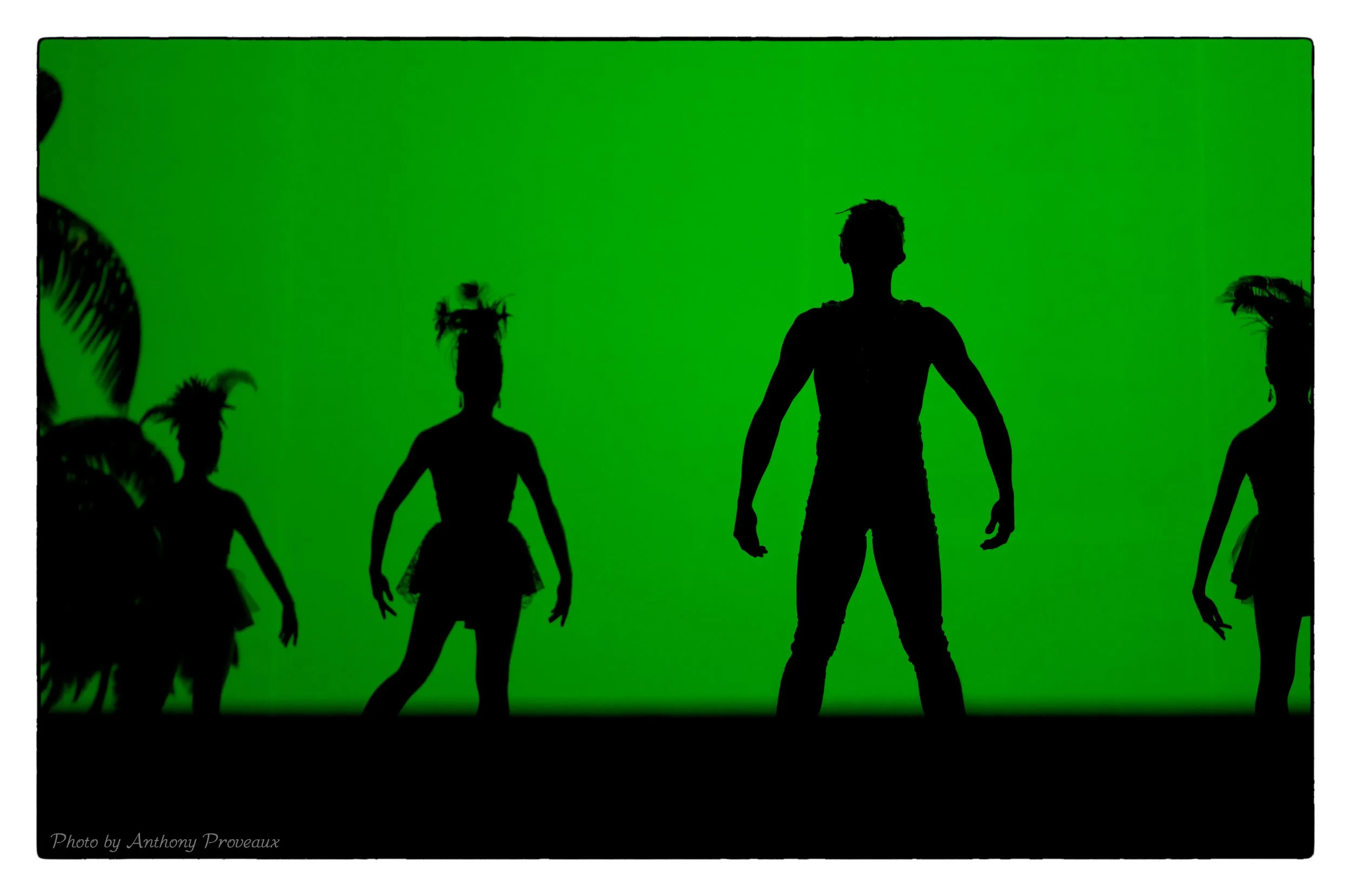 Donate Bitcoin and cryptocurrency — Ballet Fantastique