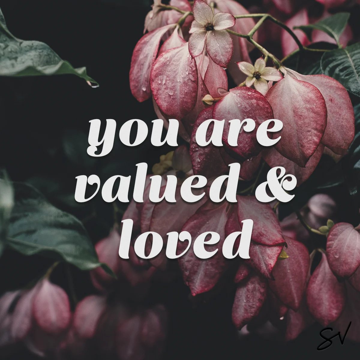 Photo from Unsplash