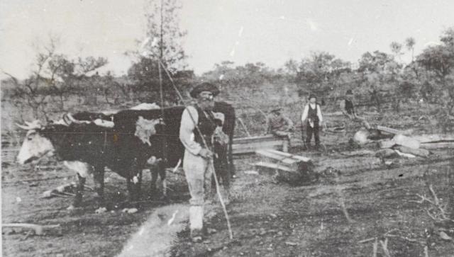  Workers cutting sleepers in the Warrioota creek near Beltana 