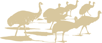 BEL-emu_beige.png