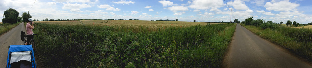  Ashley trying to capture the poppies of the field. 