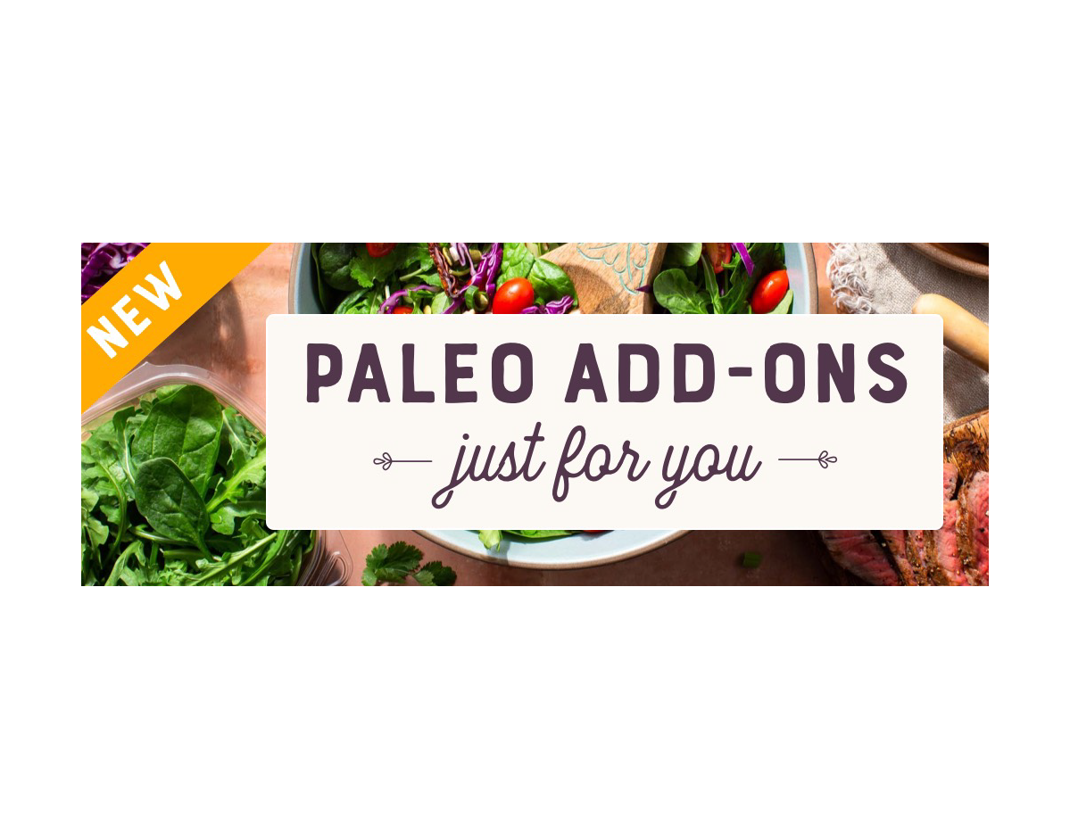 PaleoJFU_Banner.png