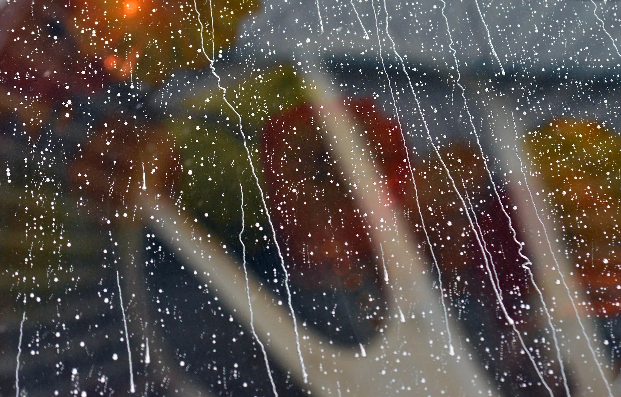 rainneedlecolors(closeup).jpg
