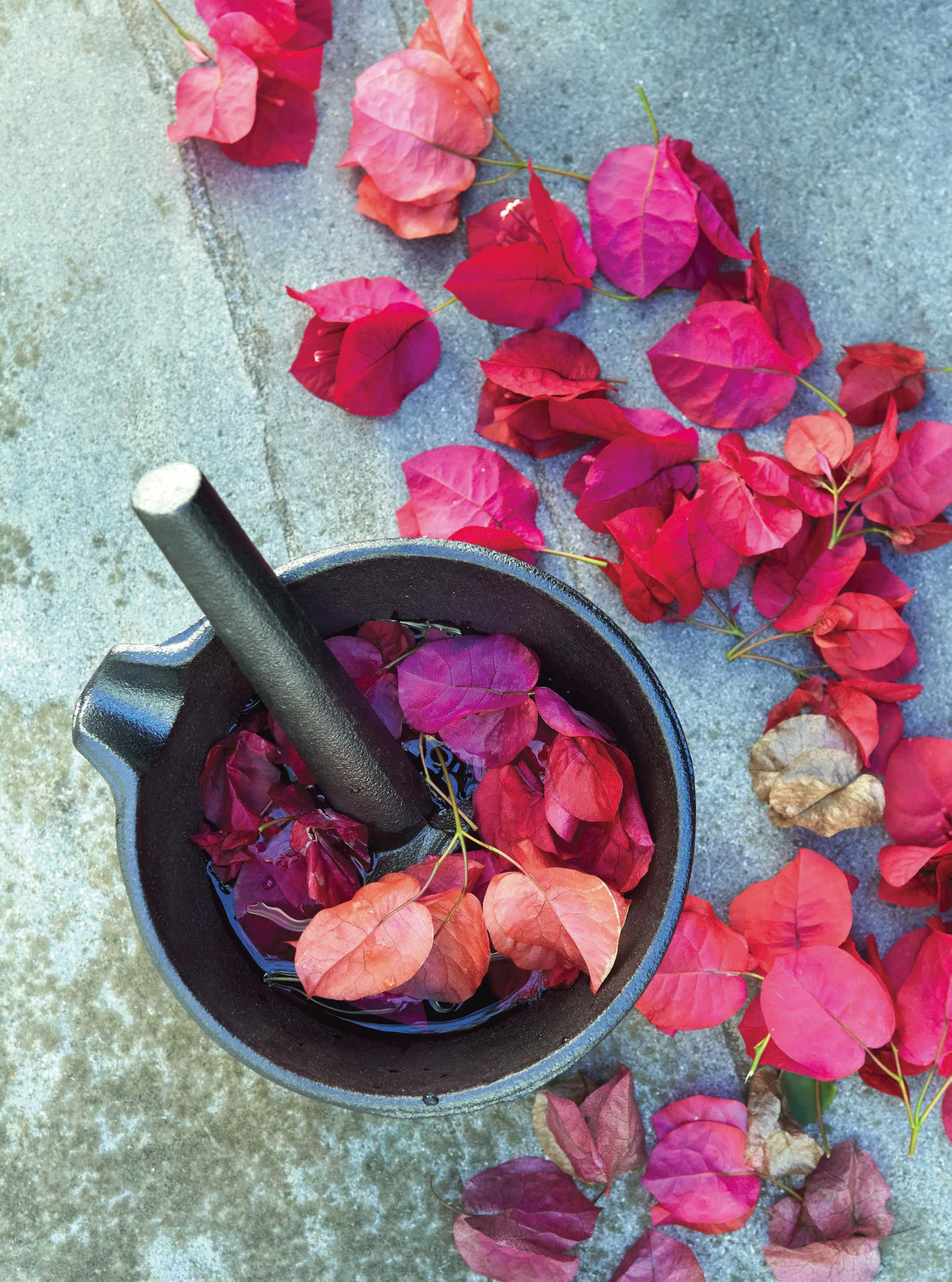 Image by Aya Brackett from Natural Color