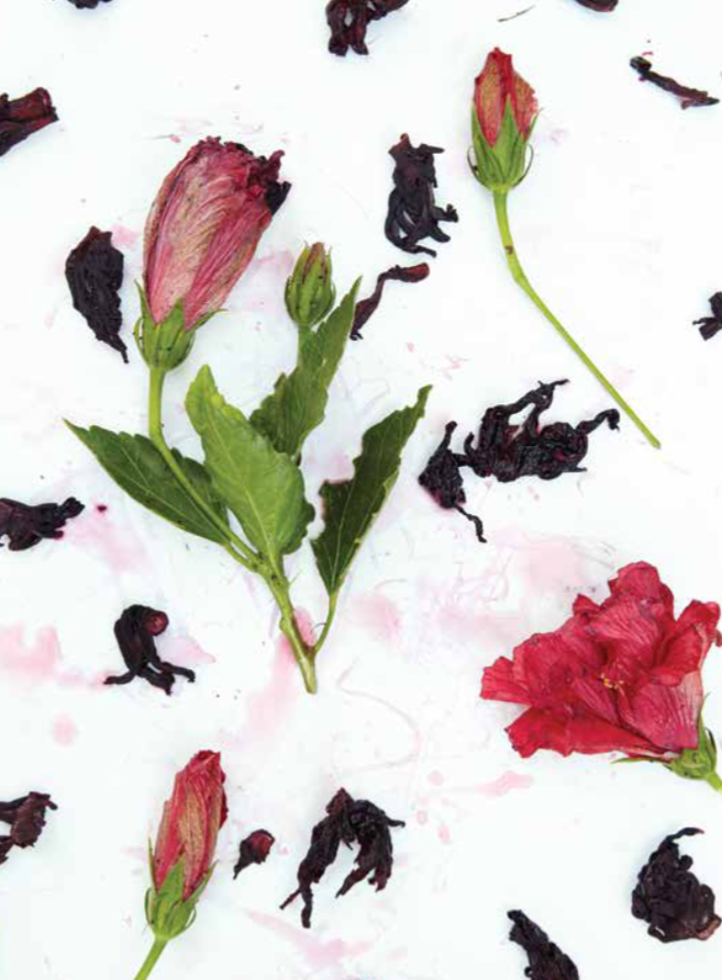 Image by Aya Brackett from "Natural Color"
