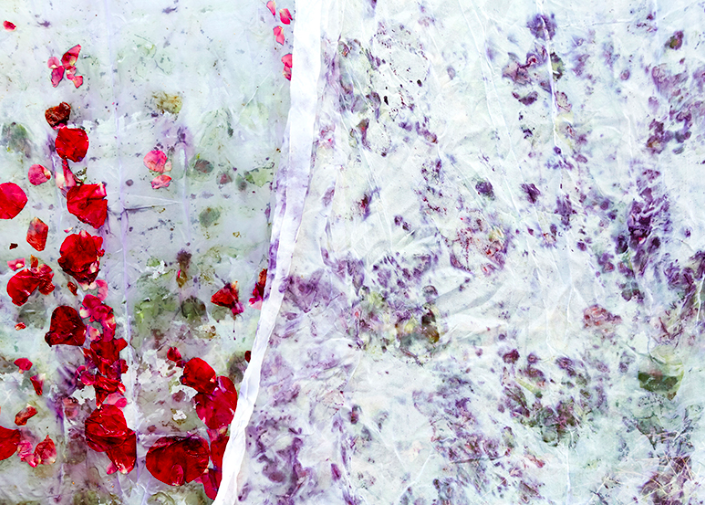  Image by Aya Brackett for Natural Color (Watson-Guptill 2016) 