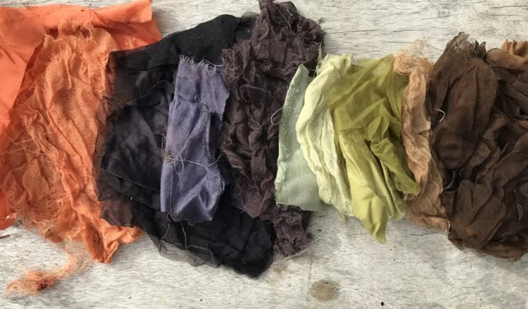FallPalette2.SashaDuerr.Image_-744x435.jpg