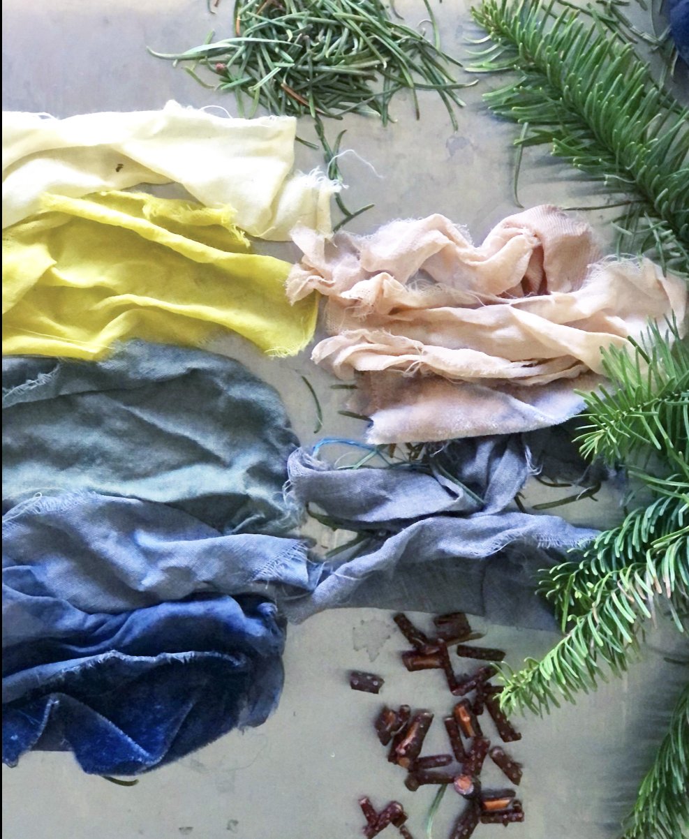 Evergreen Hues 2.jpeg