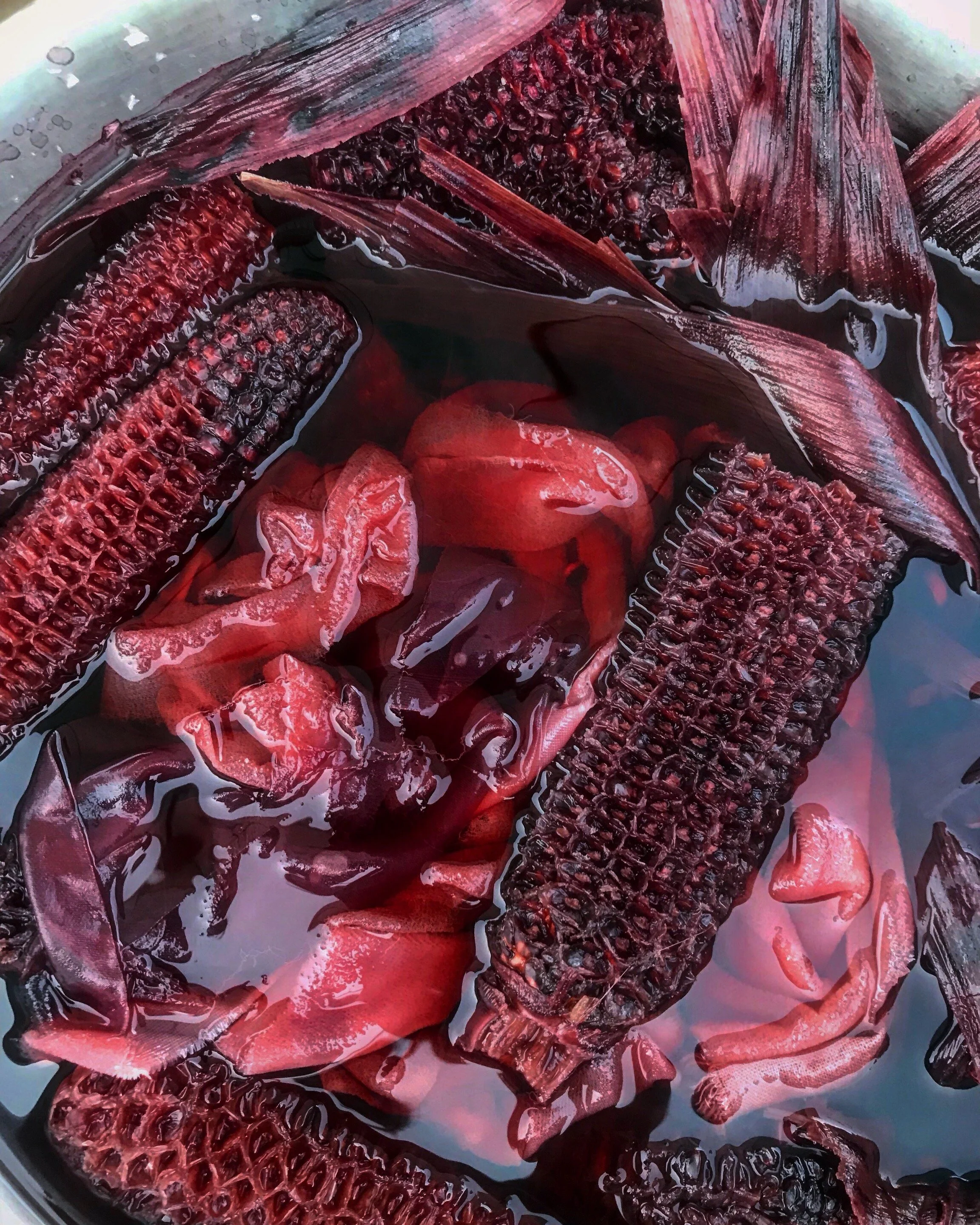 Compost Colors 11.JPG