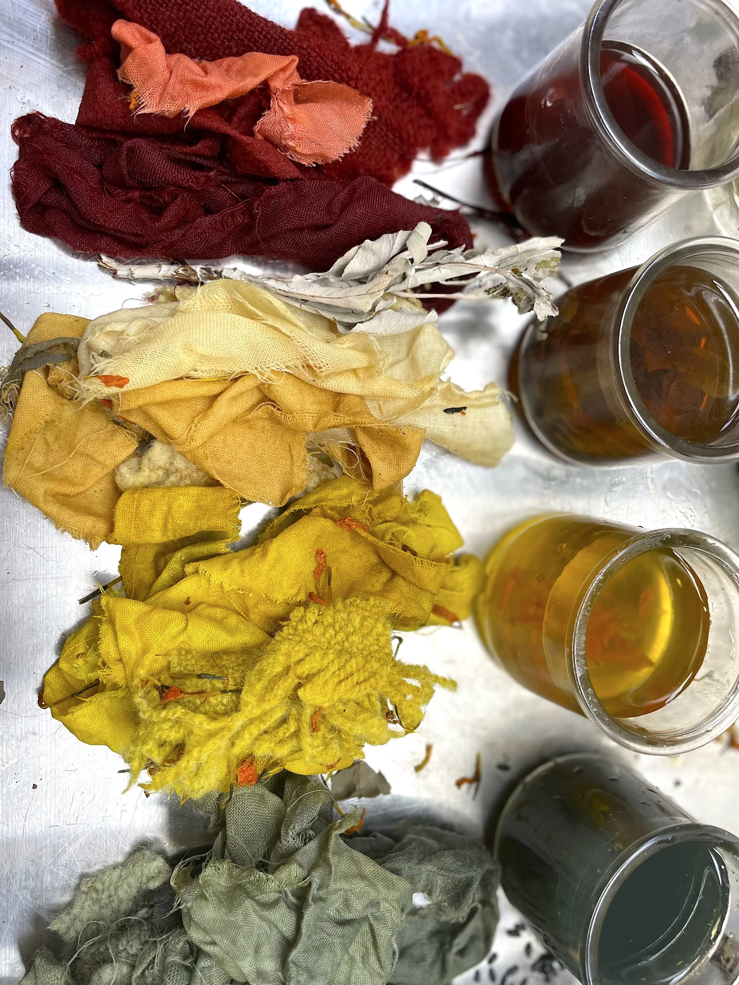 Compost Colors 16.jpg