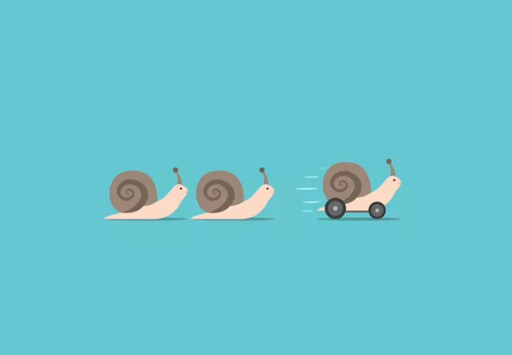 Snails.jpg