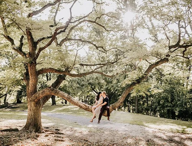 THAT. TREE. THOUGH. ⠀⠀⠀⠀⠀⠀⠀⠀⠀ ⠀⠀⠀⠀⠀⠀⠀⠀⠀
I was so excited when we randomly came across this tree yesterday. What a gem! And then I was even more excited when Kim and Jacob were willing to climb up to sit on it! 😍 Creation is the best scenery 👏🏼 Loved shooting around the Burgh with these two yesterday! Loving the cooler evenings we’ve been having too. 😌