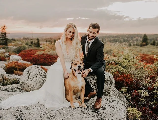 It’s never too late to recreate your wedding photos—especially when you get to add in your cute pup, Cooper! 😜 LOVED shooting at Dolly Sods yesterday with Brittany and Zach! I would go back in a heartbeat. Such a fun weekend ☺️🍂