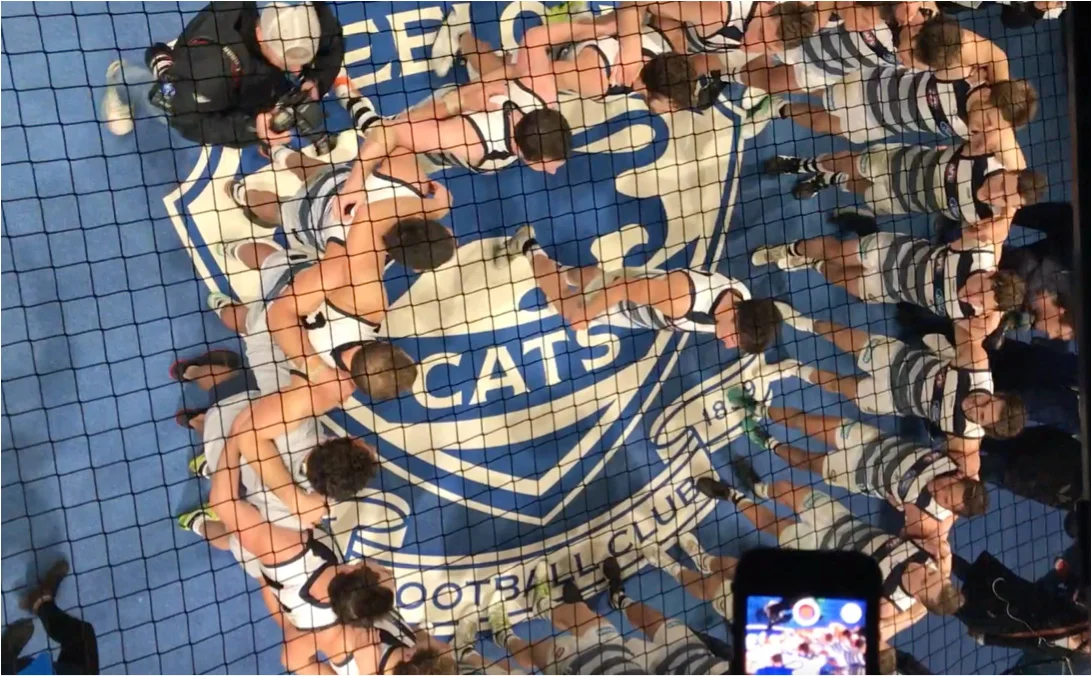 World-first fan portal wows Cats’ fans and AFL establishment