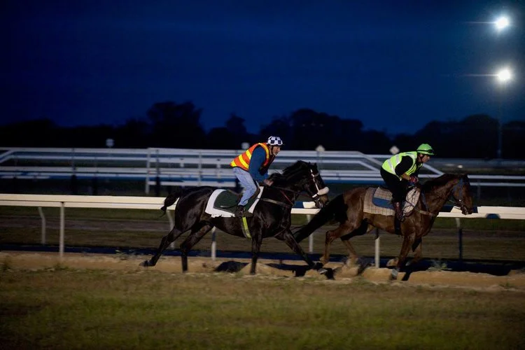 racing-victoria-waypoint-2-web.jpg