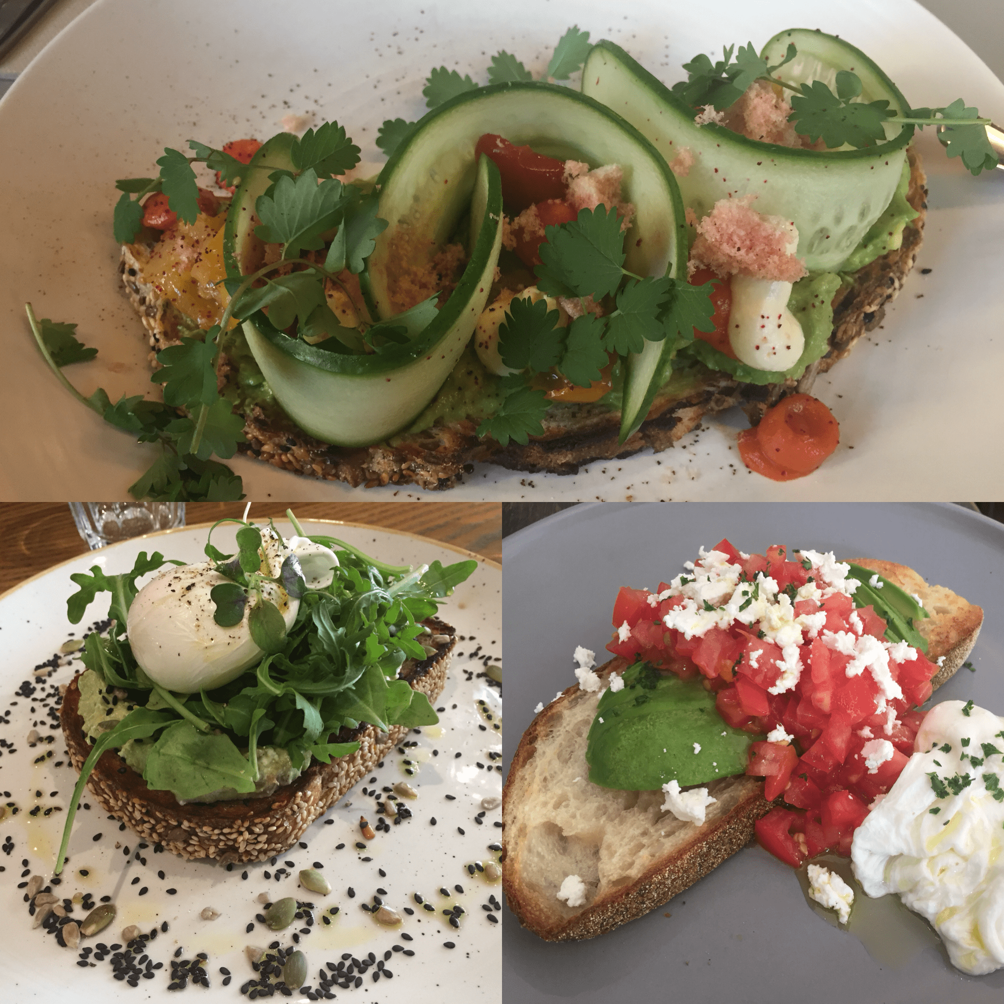 Assortment of avocado toasts I had in Australia