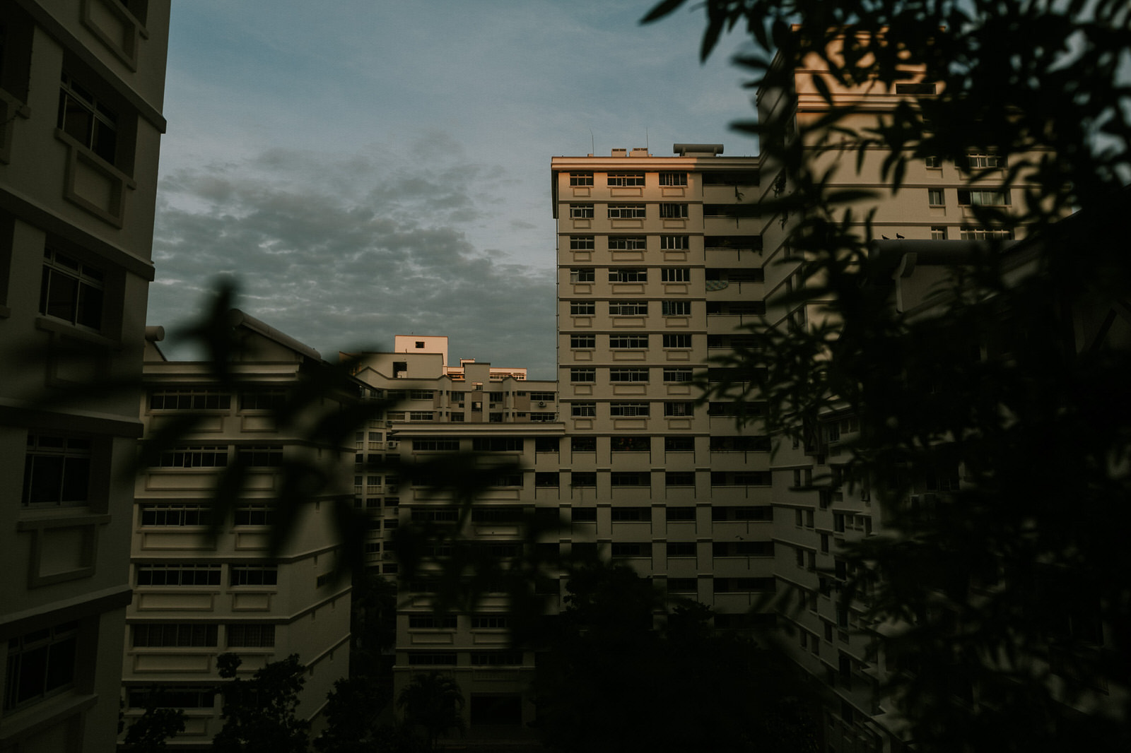HM+J-1.jpg