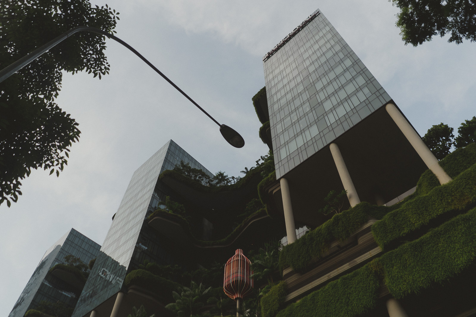 YZ+C-3.jpg