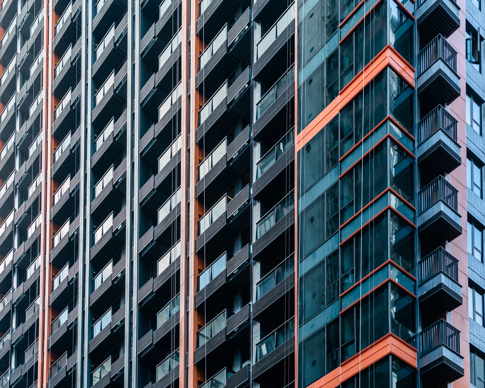 DSC_3698.JPG