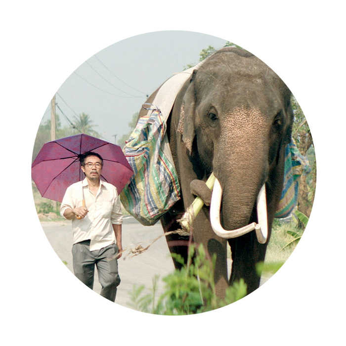  “From now on it's just you and me.” Two peas in a pod, “old, fat and homeless,” umbrella aloft.  Returning to homeland, peace, possibly, and nature, film 44,   POP AYE   (D Kirsten Tan) “….because elephants, both in Thailand and in the wider world, 