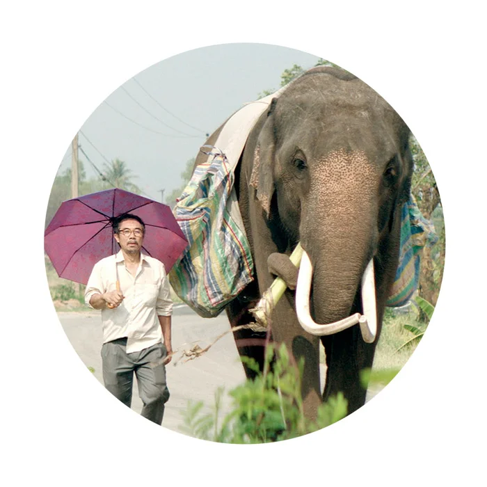 “From now on it's just you and me.” Two peas in a pod, “old, fat and homeless,” umbrella aloft. Returning to homeland, peace, possibly, and nature, film 44, POP AYE (D Kirsten Tan) “….because elephants, both in Thailand and in the wider world, …. kind of symbolise hopelessness. So much of the forest in Thailand has been cut down…. So then a lot of times these elephants have become forced to live among men. So then this idea of finding a home and that home still exists also came about when I was thinking about elephants.” —Kristen Tan (in interview with Jeremy Elphick, 4:3, 2017)