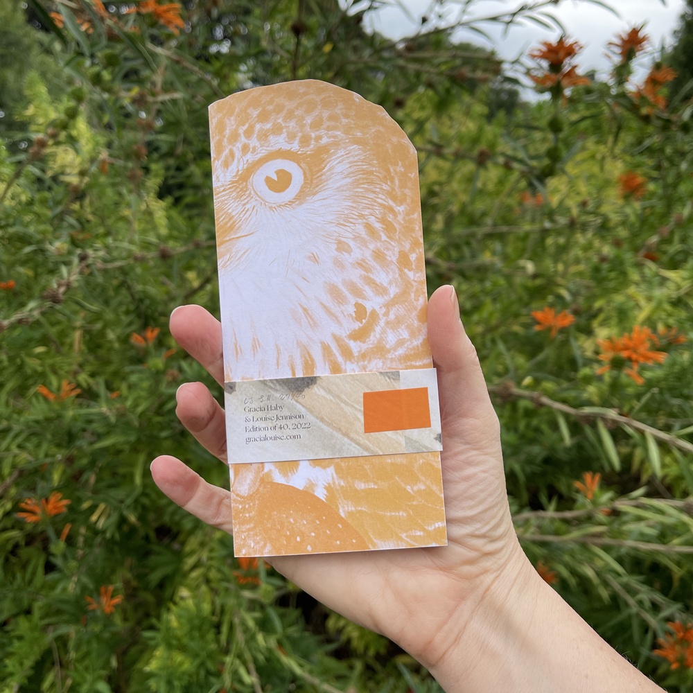Gracia_Haby_Louise_Jennison_Roosting on a concealed tree branch 02.png