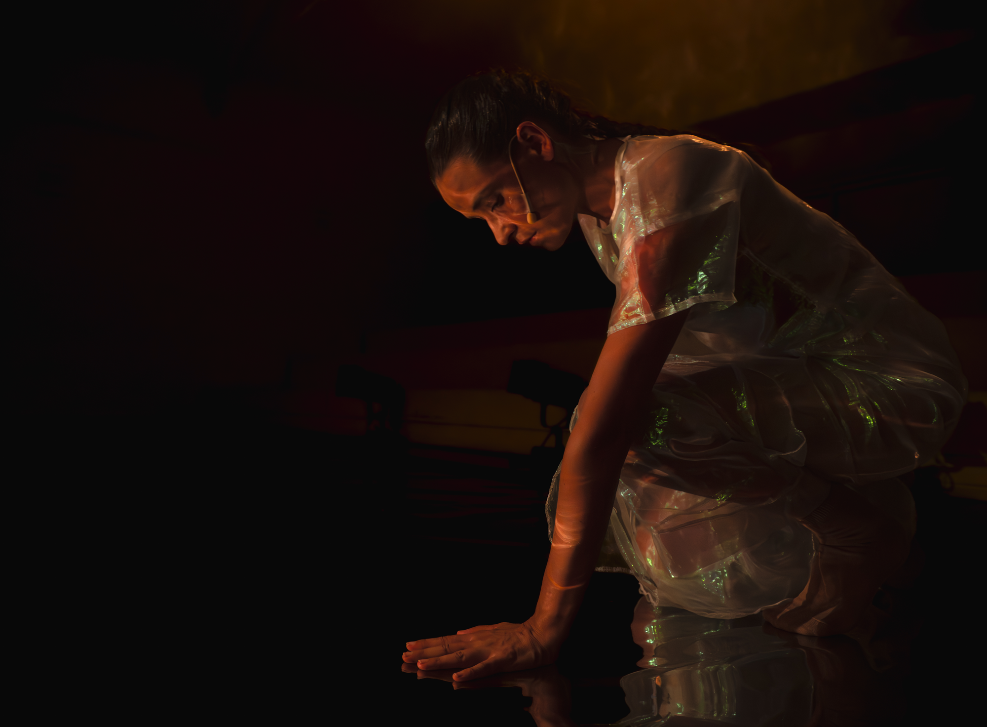 Whether in the rainforest or the gallery setting