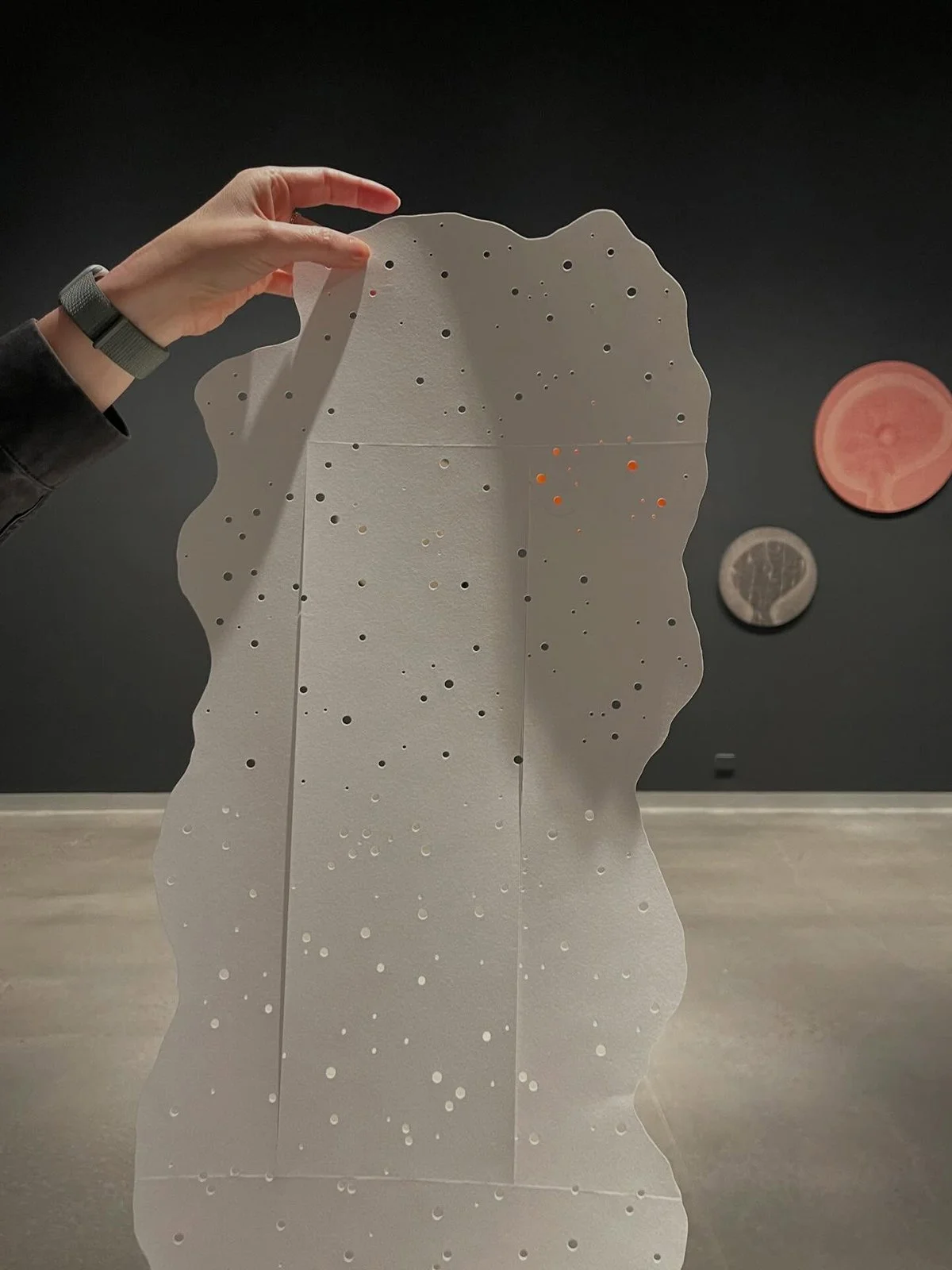 Gracia Haby Louise Jennison_Can we dream it_installation 14.jpg