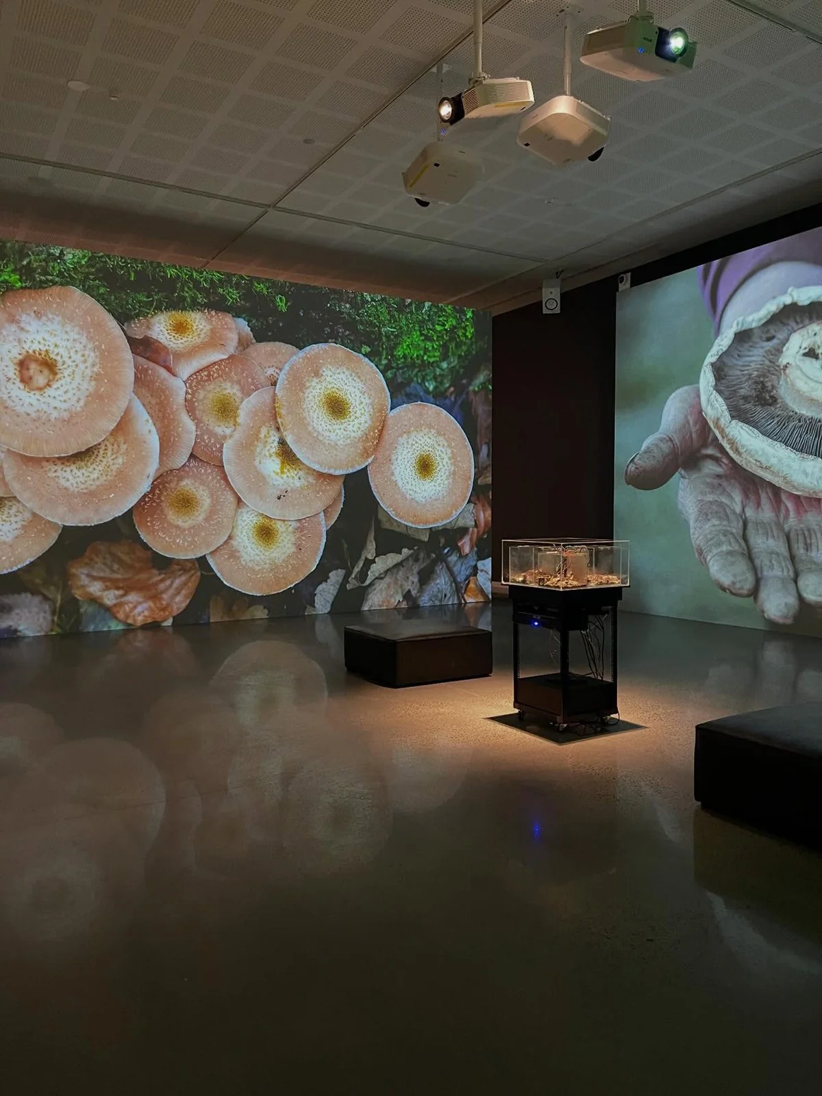 Gracia Haby Louise Jennison_The remaking of things WAMA_installation 20.jpg