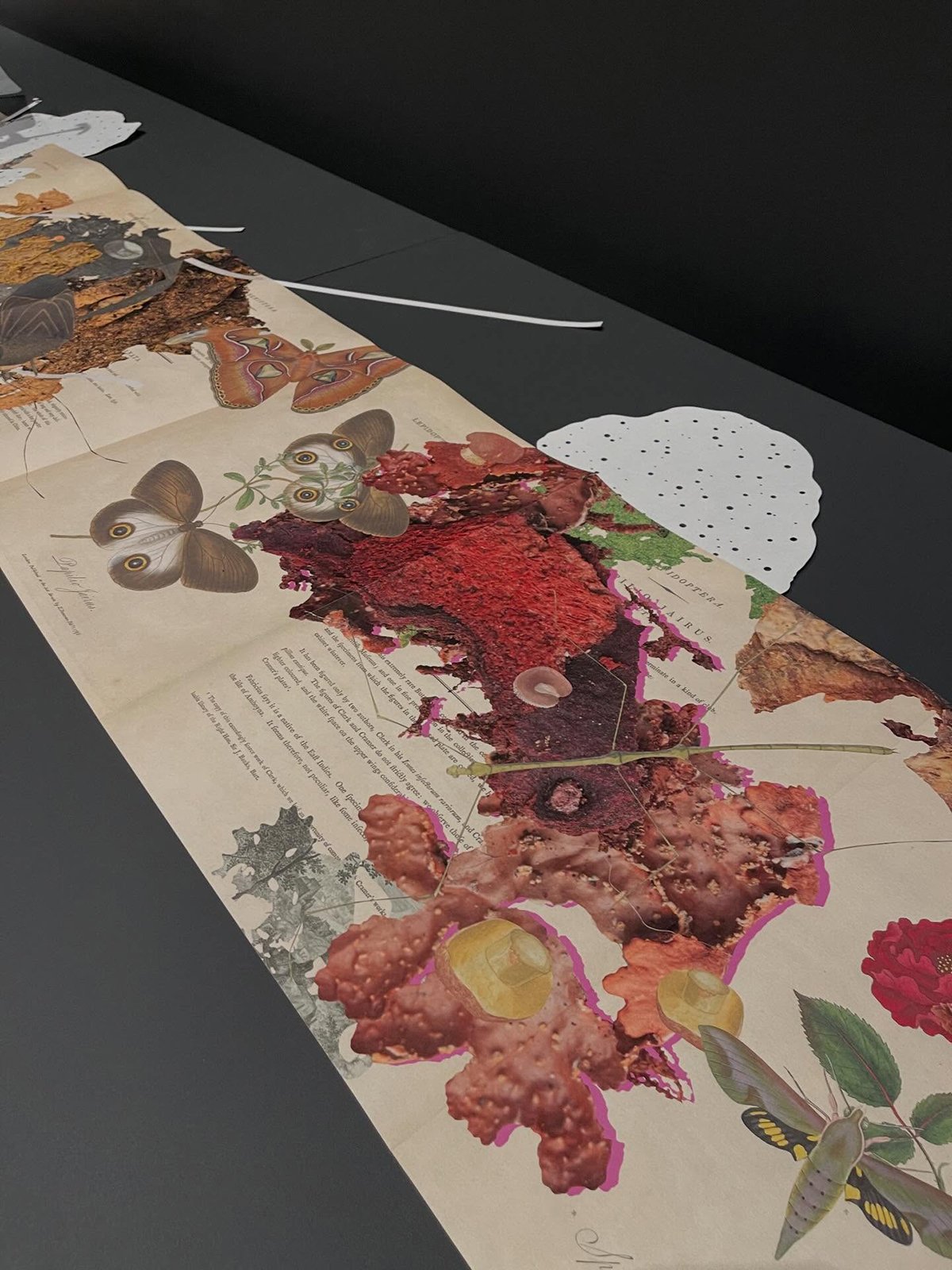 Gracia Haby Louise Jennison_Can we dream it_installation 16.jpg