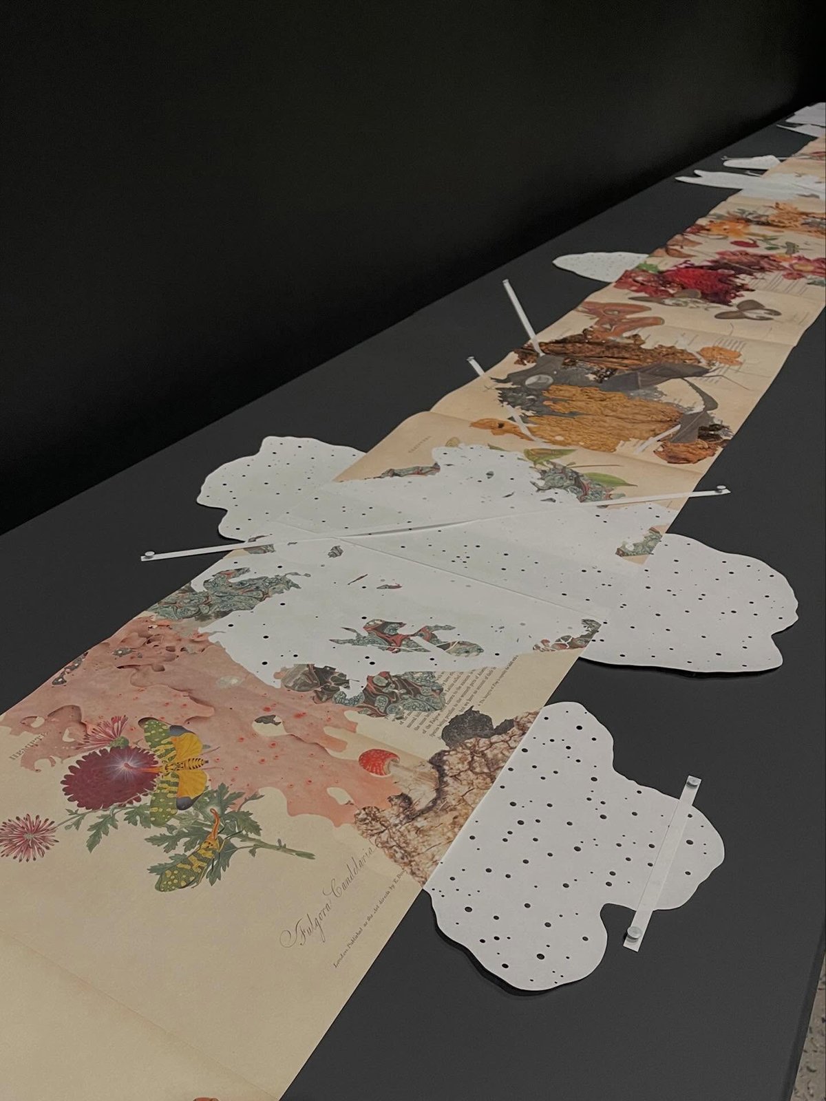 Gracia Haby Louise Jennison_The remaking of things WAMA_installation 14.jpg