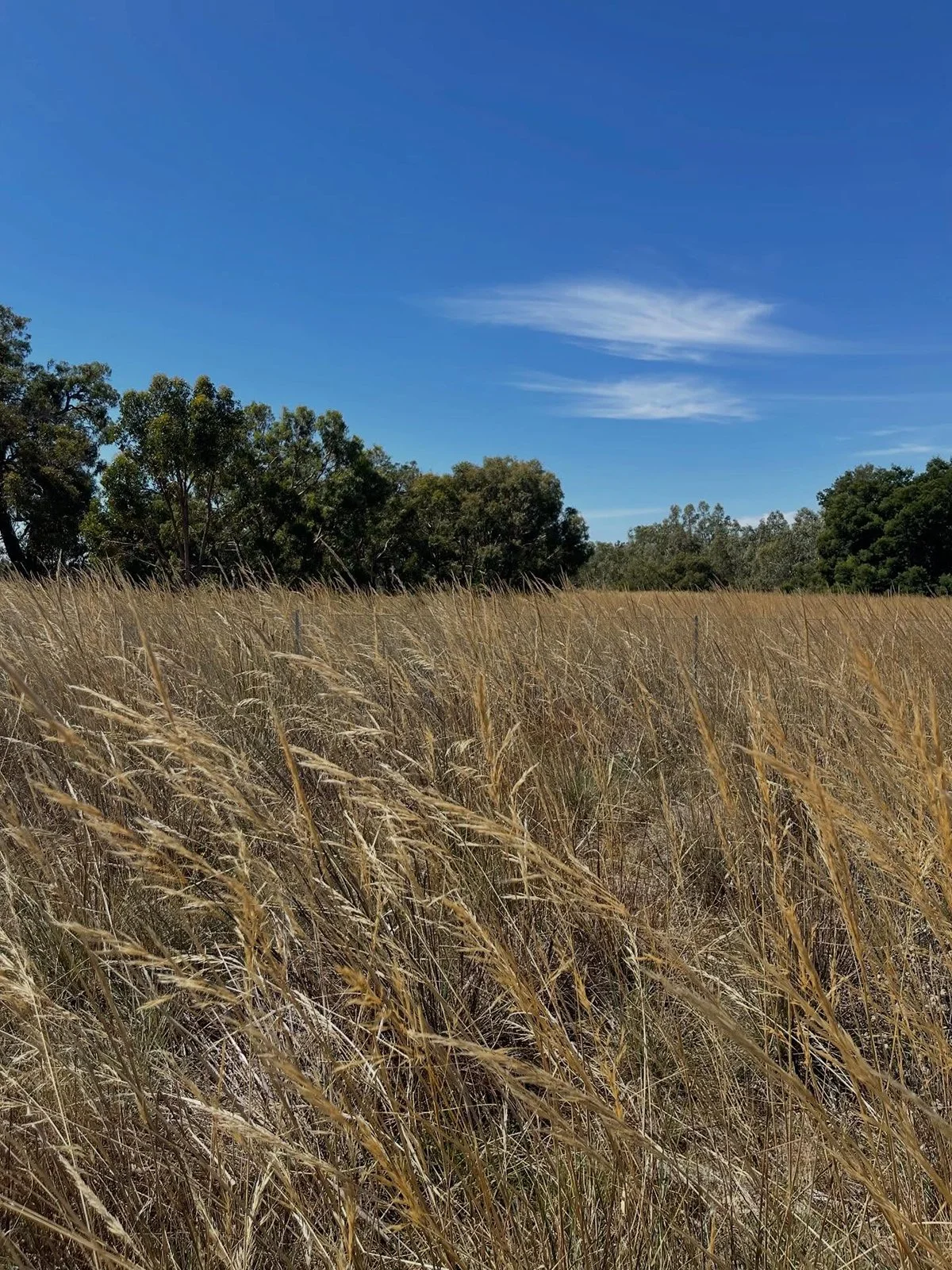 Gracia Haby Louise Jennison_The remaking of things WAMA_installation 04.jpg