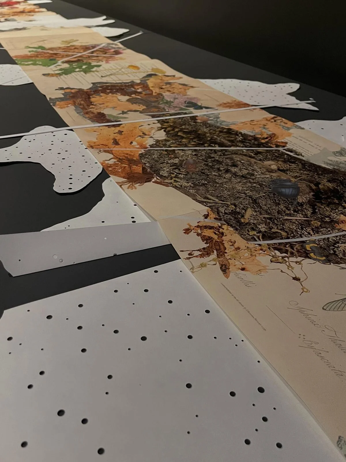 Gracia Haby Louise Jennison_Can we dream it_installation 15.jpg