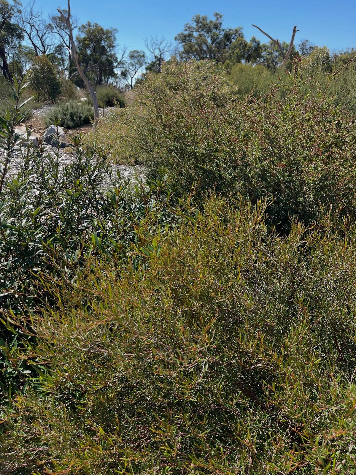 Gracia Haby Louise Jennison_The remaking of things WAMA_installation 11.jpg