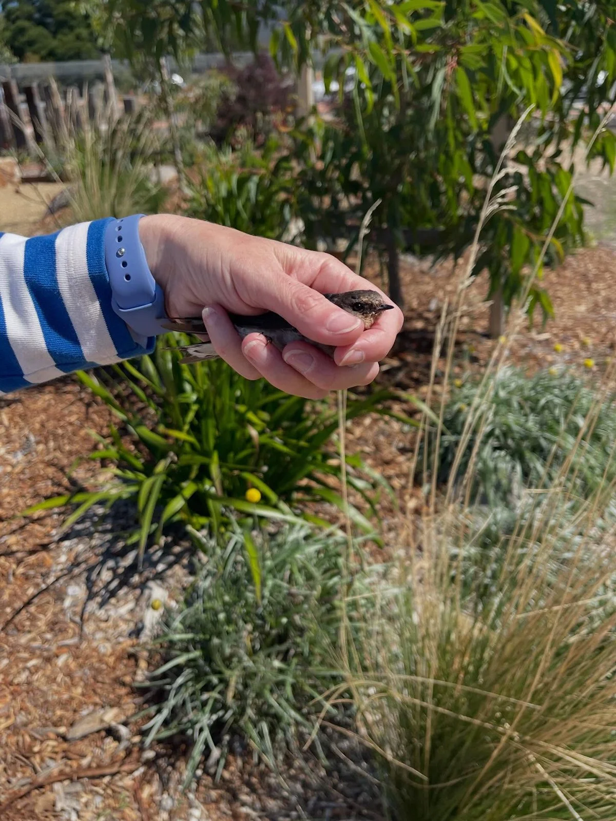 Gracia Haby Louise Jennison_The remaking of things WAMA_installation 02.jpg