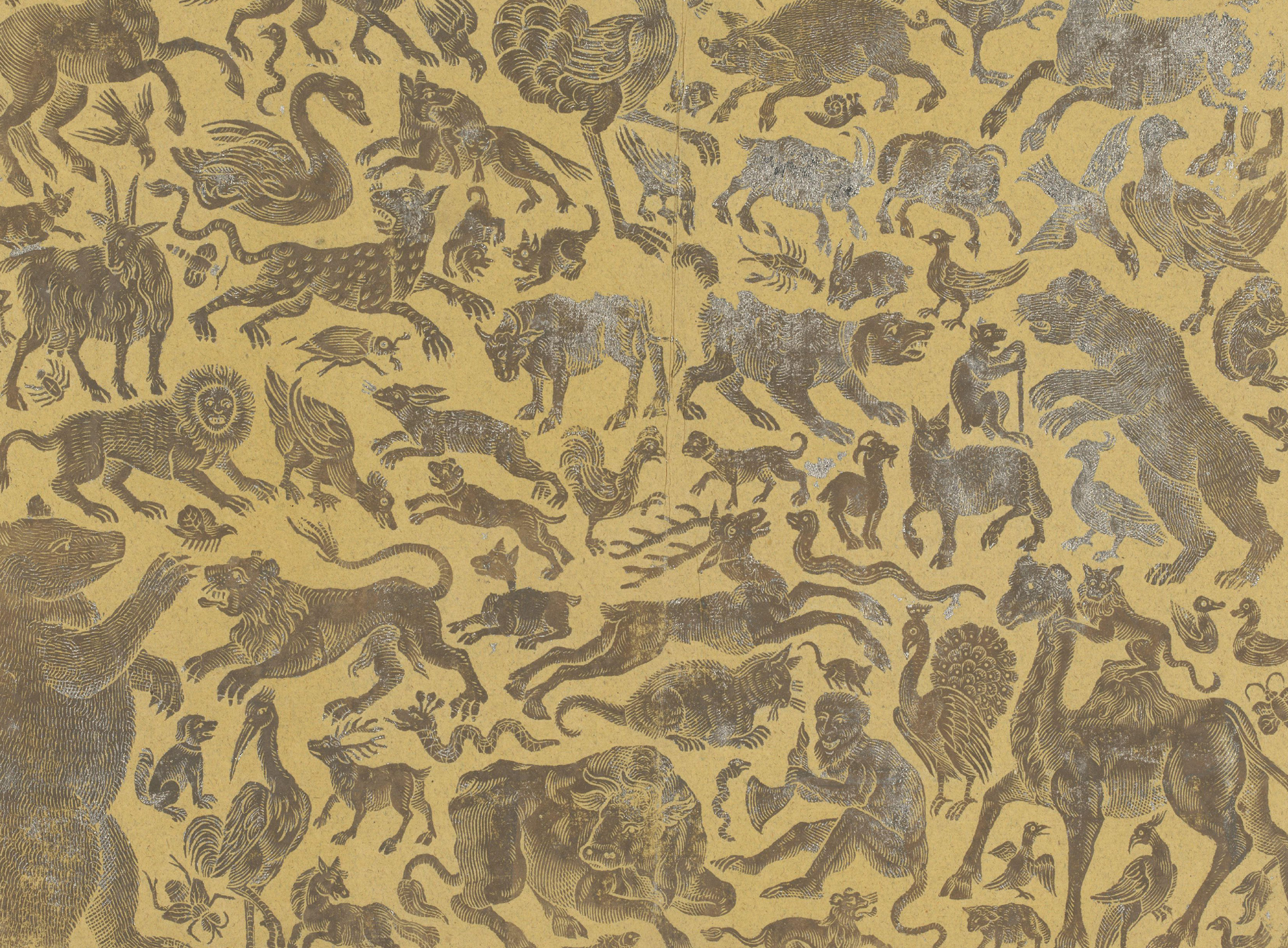 Where realms collide