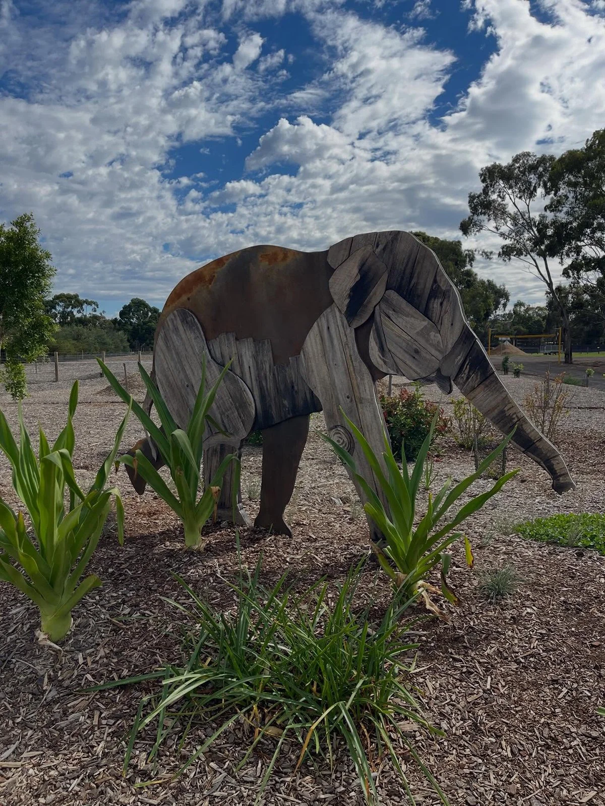 Gracia Haby Louise Jennison_Tiny but Wild wildlife shelter_March 2026_20.jpg