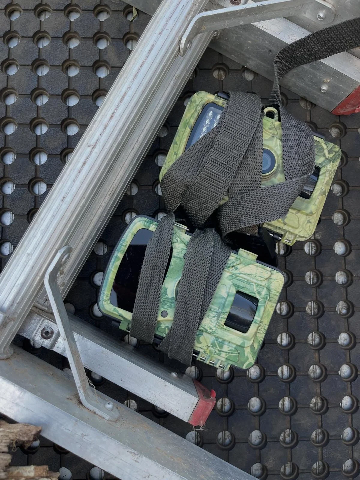 Gracia Haby Louise Jennison Tiny but Wild April soft release 2026_15.jpg