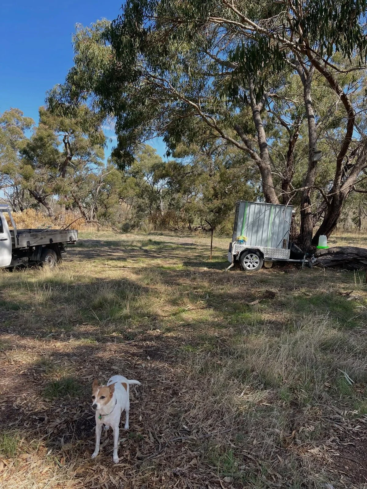 Gracia Haby Louise Jennison Tiny but Wild April soft release 2026_12.jpg