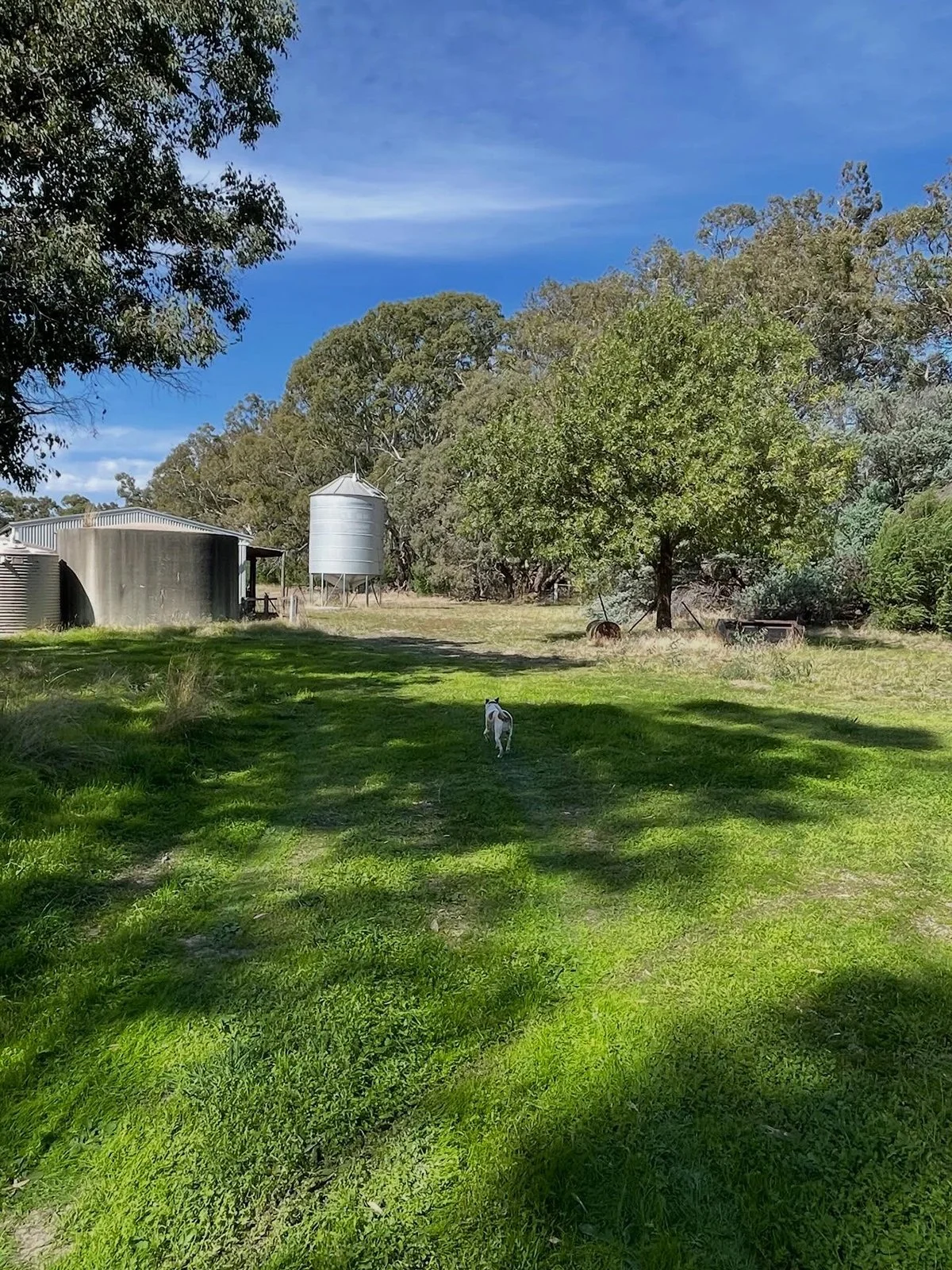 Gracia Haby Louise Jennison Tiny but Wild April soft release 2026_17.jpg