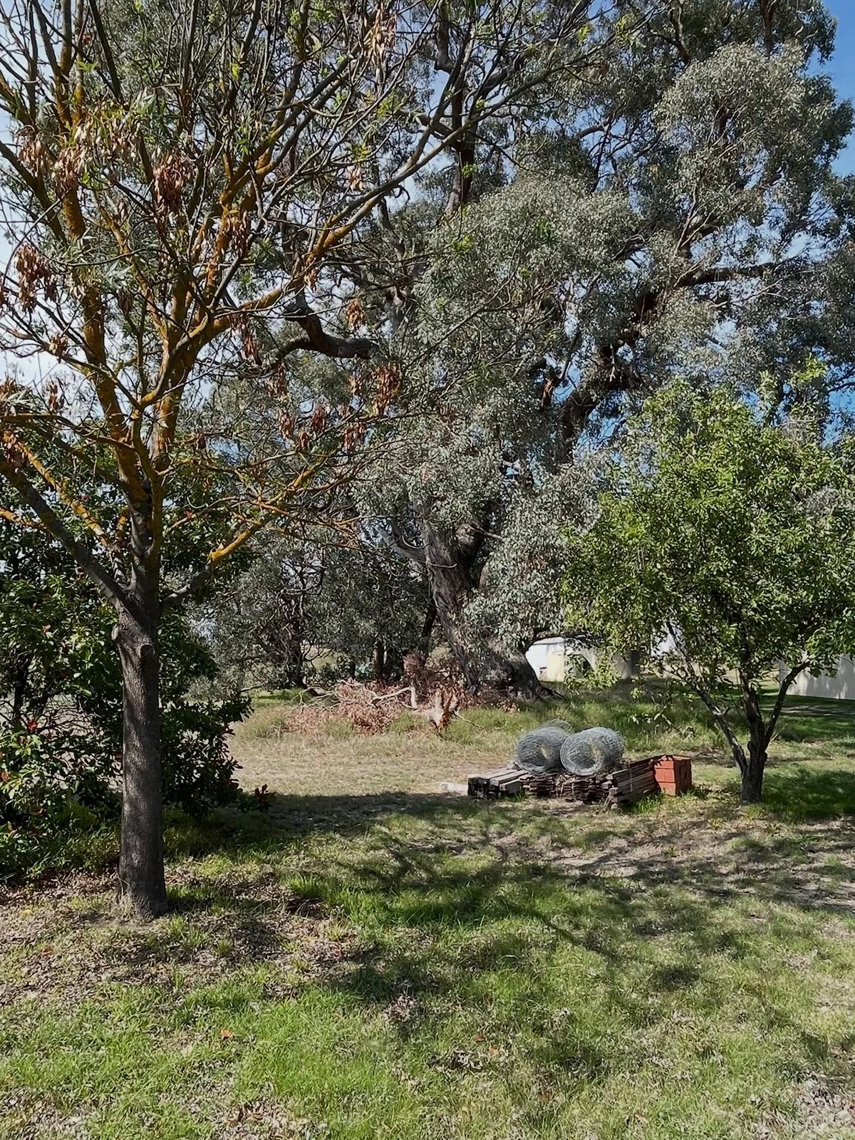 Gracia Haby Louise Jennison Tiny but Wild April soft release 2026_13.jpg