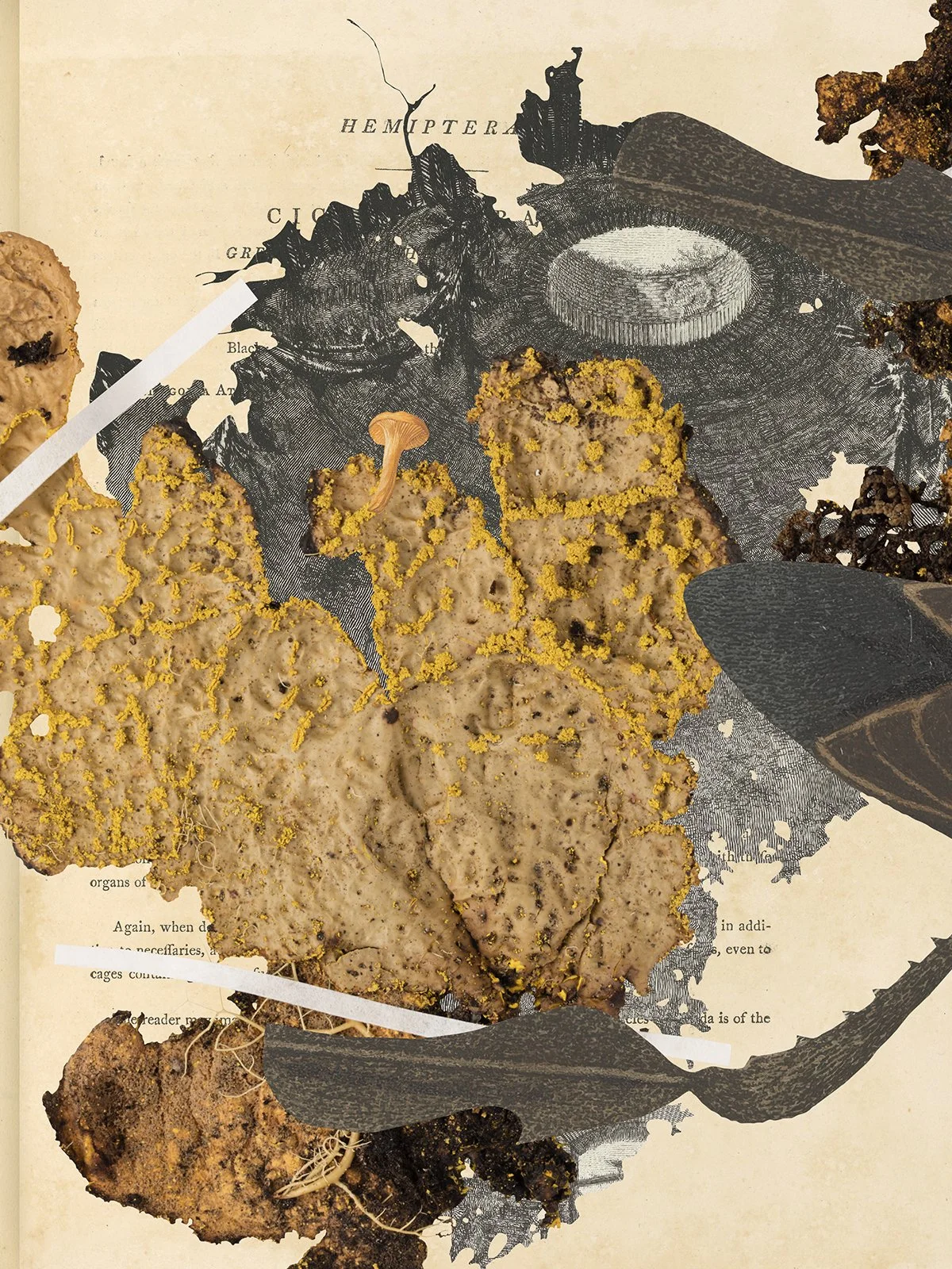 Gracia Haby Louise Jennison_NGV_zine workshop 2026_02.jpg