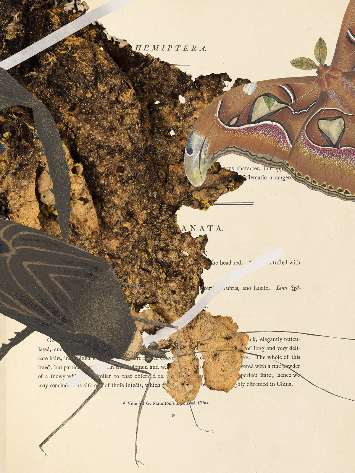 Gracia Haby Louise Jennison_NGV_zine workshop 2026_01.jpg