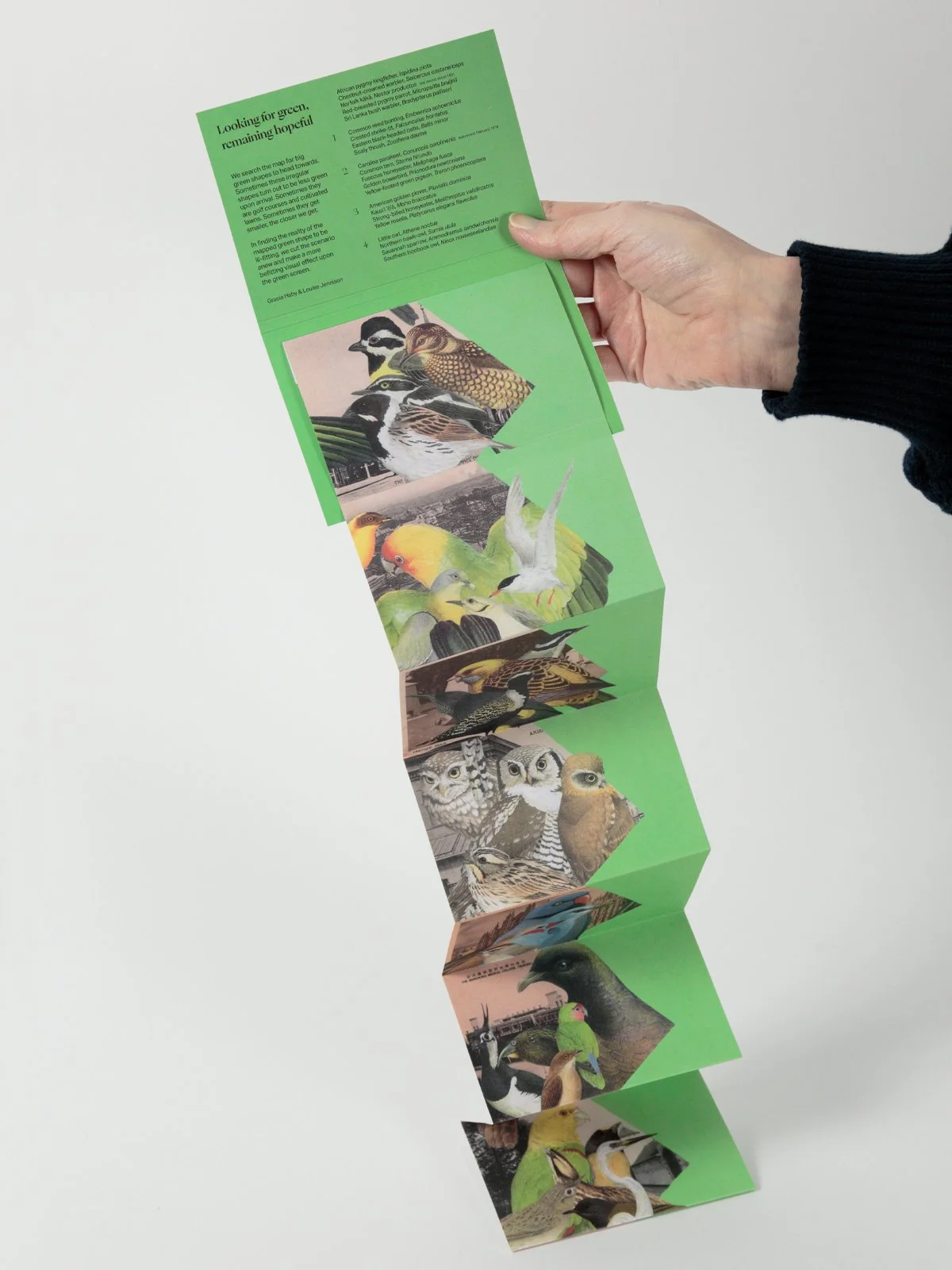 Gracia Haby Louise Jennison_NGV_zine workshop 2026_06.jpg